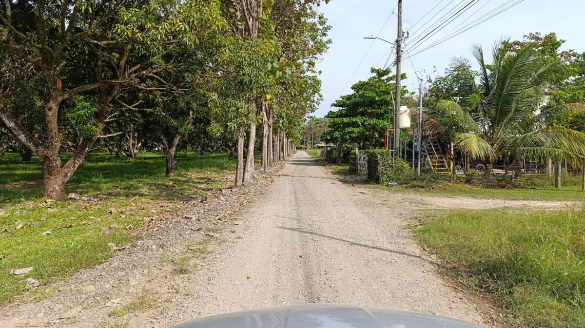 La Casa Del Raton, Relajate En El Campo Y La Playa Villa Paquera Eksteriør billede